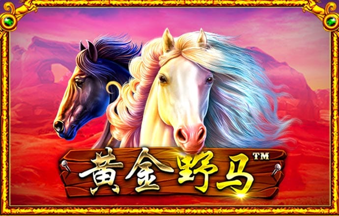大众娱乐购彩入口